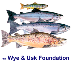 Wye and Usk Foundation